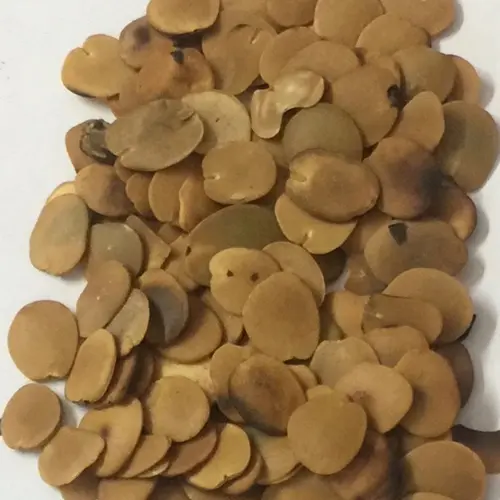 Unveiling the Power of Brachystegia Eurycoma: A Nutritional and Medicinal Marvel